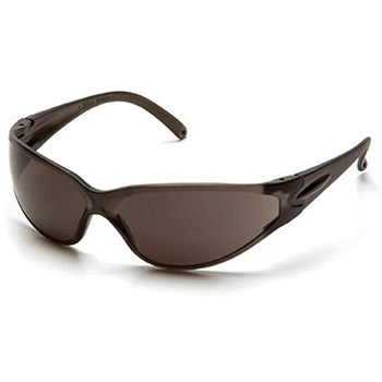 Pyramex S1420S Fastrac & Frame, Gray, Lens, Gray Safety Glasses - Dozen